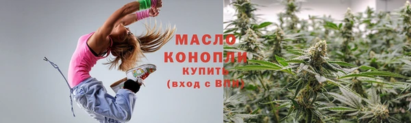 прущие грибы Заводоуковск