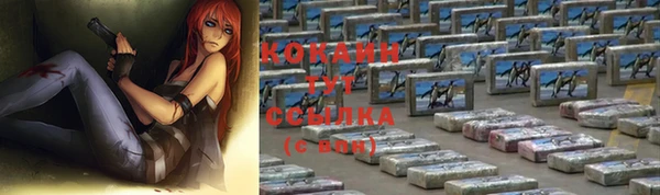 ПСИЛОЦИБИНОВЫЕ ГРИБЫ Заволжье