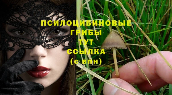 ПСИЛОЦИБИНОВЫЕ ГРИБЫ Заволжье