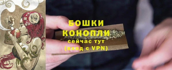 прущие грибы Заводоуковск