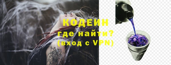 ПСИЛОЦИБИНОВЫЕ ГРИБЫ Заволжье