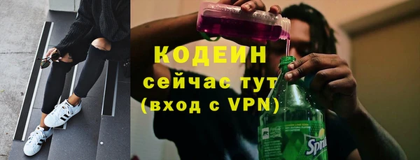 прущие грибы Заводоуковск