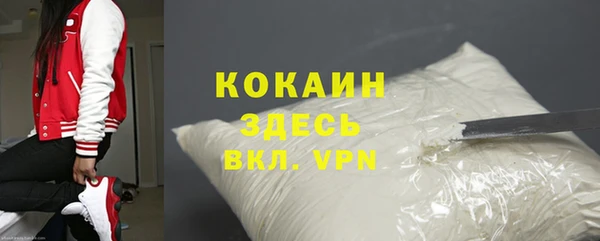 прущие грибы Заводоуковск