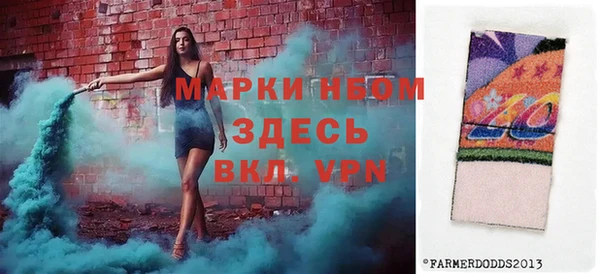 прущие грибы Заводоуковск