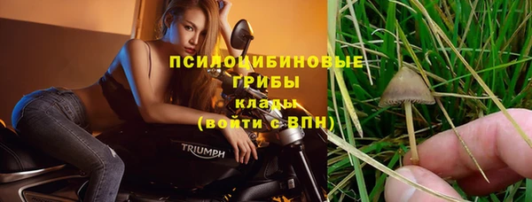 ПСИЛОЦИБИНОВЫЕ ГРИБЫ Заволжье