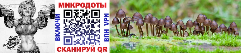 Купить где  Тихорецк  Галлюциногенные грибы прущие грибы 